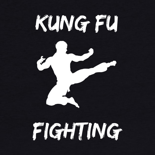 Kung Fu Fighting by Catchy Phase